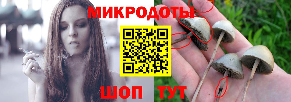 цена   Псилоцибиновые грибы GOLDEN TEACHER  Галлюциногенные грибы Psilocybine cubensis  Вход с VPN  Сатка 