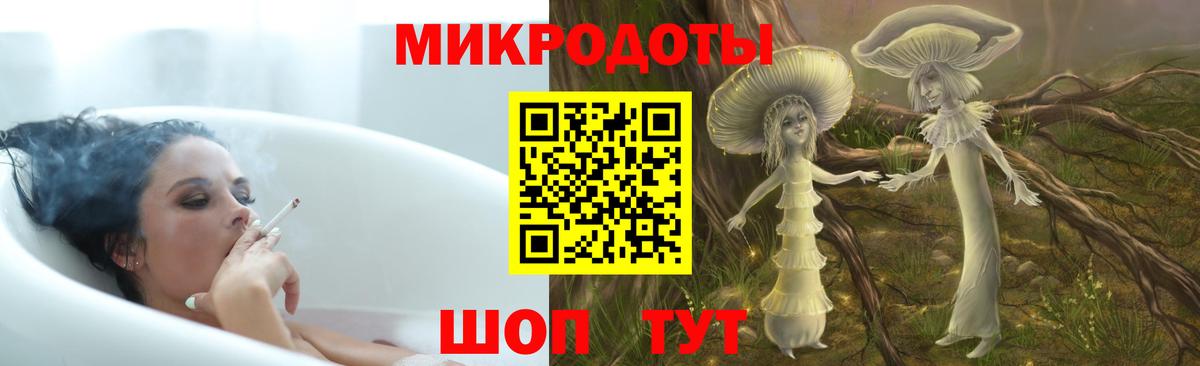 Псилоцибиновые грибы Psilocybe Сатка